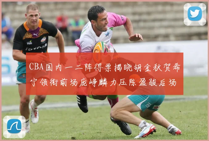 CBA国内一二阵得票揭晓胡金秋贺希宁领衔前场庞峥麟力压陈盈骏后场