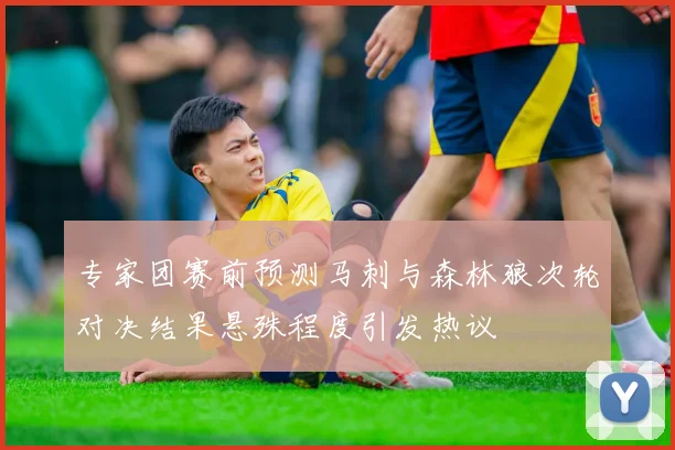 专家团赛前预测马刺与森林狼次轮对决结果悬殊程度引发热议